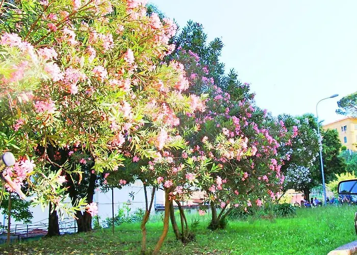 The Comfort La Spezia