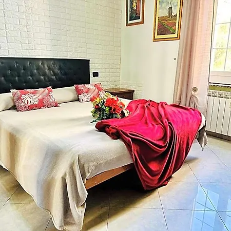 The Comfort Bed & Breakfast